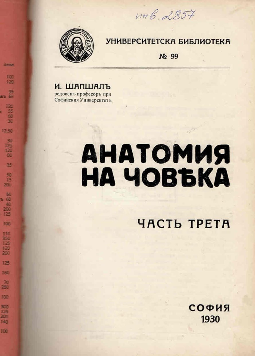  Анатомия на човека, 3 част