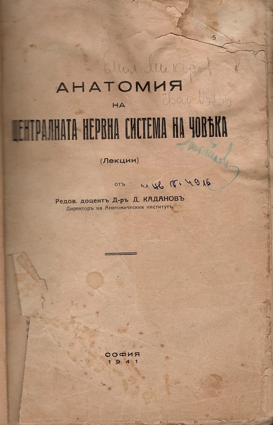  Анатомия на централната нервна система на човѣка