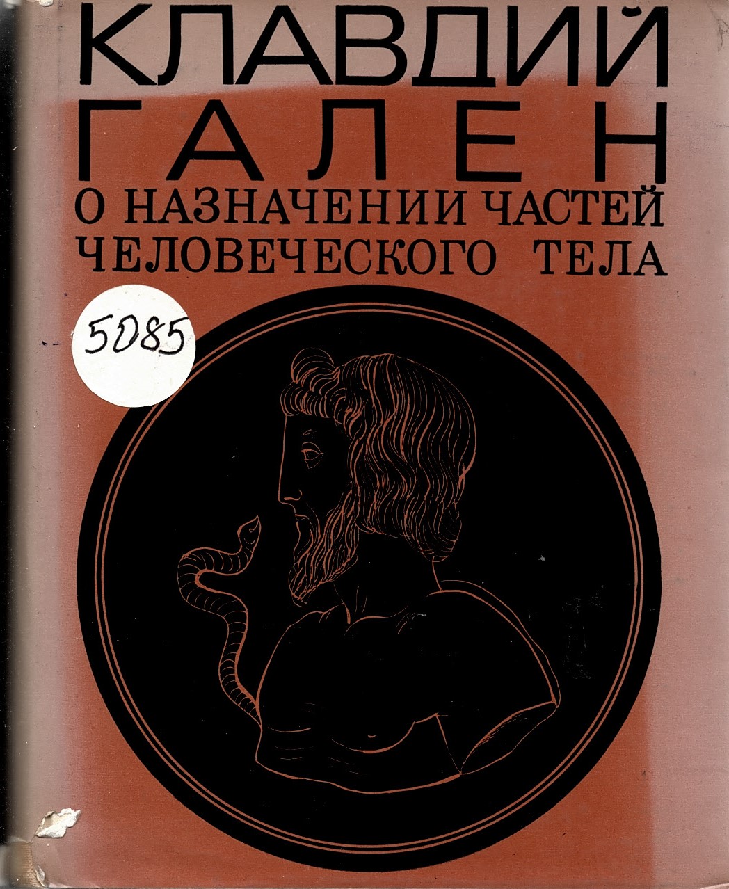  О назначении частей человеческого тела