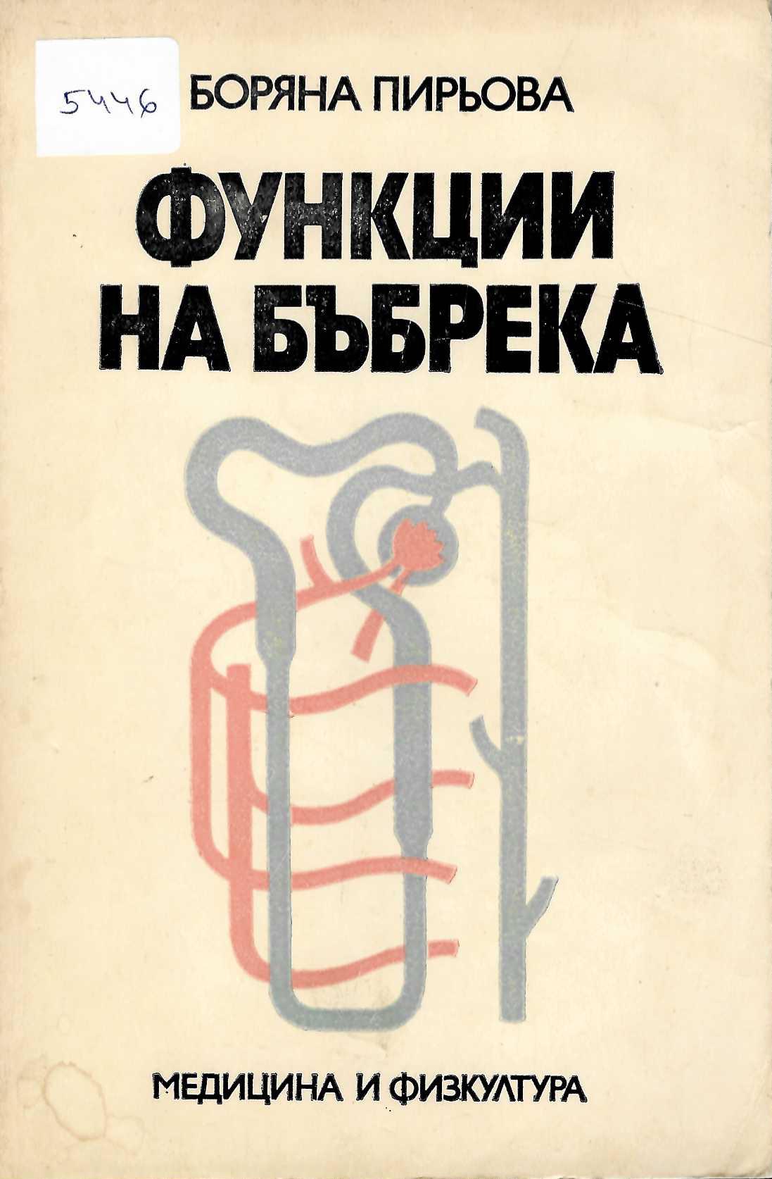  Функции на бъбрека